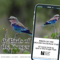 Kruger National Park Bird Guide – 67 Iconic Species. Digital PDF
